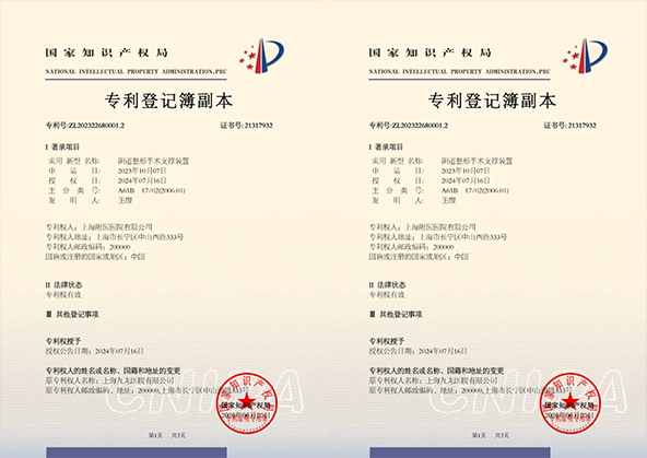1786090080223926.png 专利.png