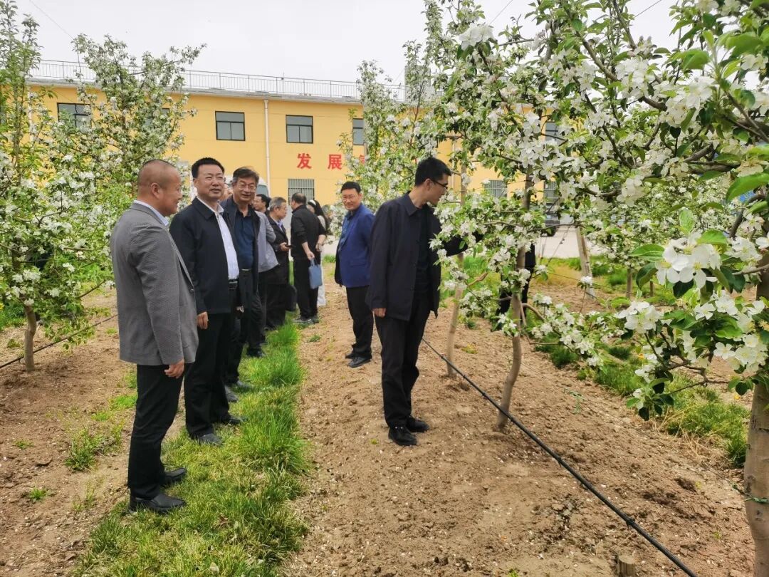 镇原县政协:筑牢界别“责任地” 答好履职“民生卷”