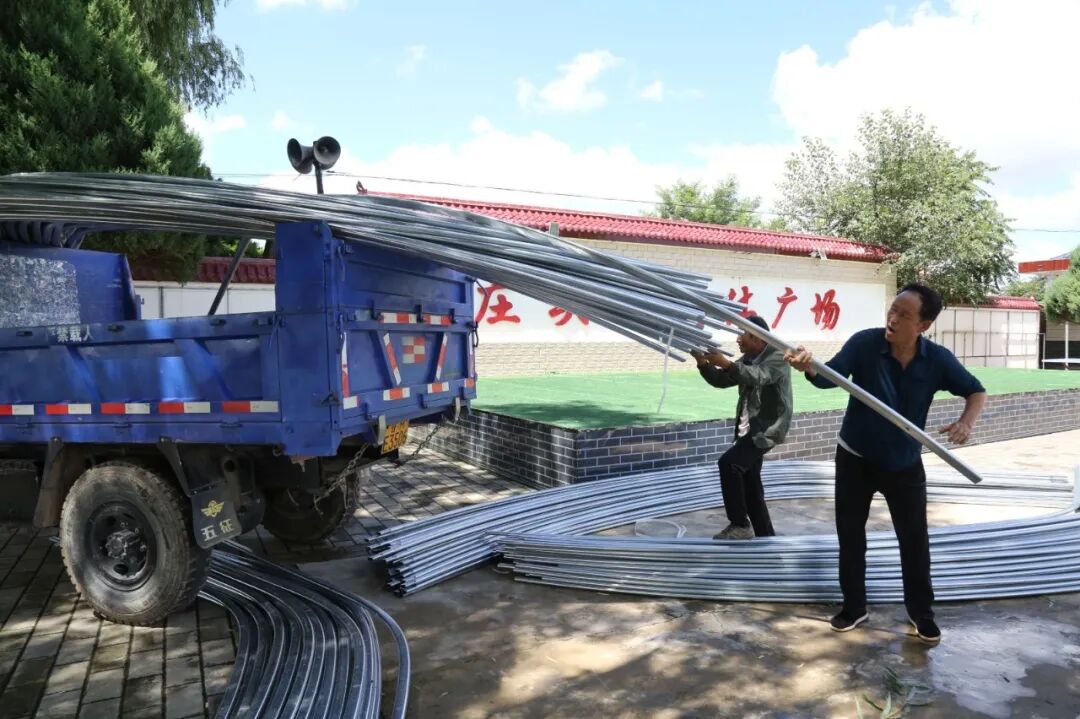 西峰区庄头村:党建赋能产业兴 葡萄大棚种出新希望
