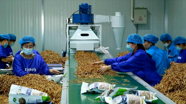 津合十年对口协作扎实推进中华民族共同体建设