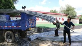 西峰区庄头村：党建赋能产业兴 葡萄大棚种出新希望