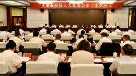 庆阳市人大常委会听取并审议市检察院行政检察工作报告