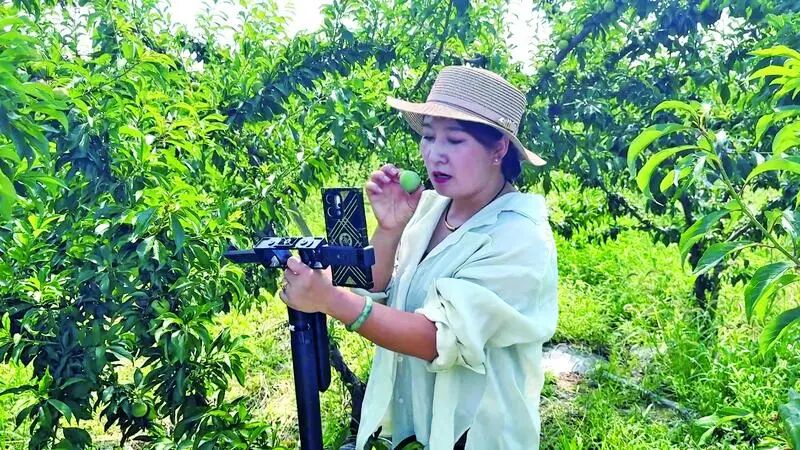 助农主播直播带货。通讯员 程娟娟 摄