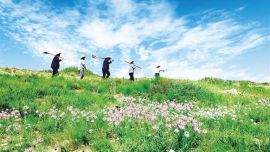 武威 以高品质生态环境支撑高质量发展