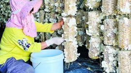 东西部协作助力环县乡村振兴示范村建设纪实