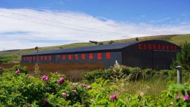 天津南开区助力庆阳环县4个村蝶变振兴