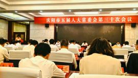 市审计局局长王芳向市人大常委会作2025年度预算执行审计工作报告