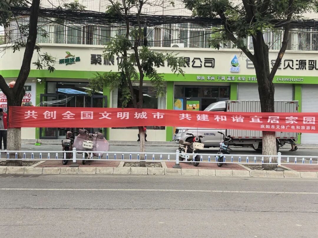 庆阳市文体广电旅游局集中开展第三次“主题党日+文明实践志愿服务”活动