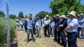 庆阳市农技中心扎实推进冬油菜良种展示与单产提升集成技术示范工作