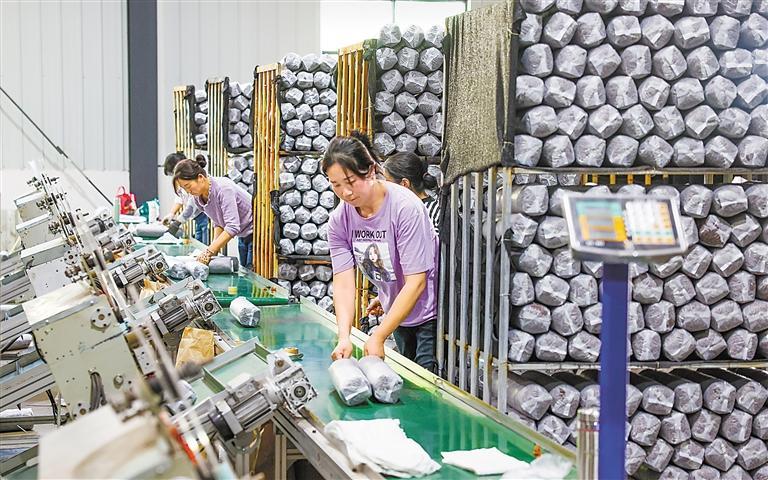 图为两当县菌棒加工厂生产线。(本组图片均为记者田蹊摄)