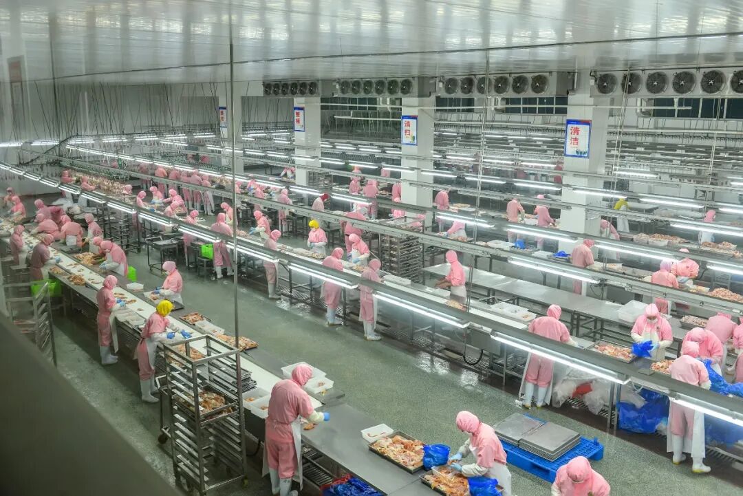 龙头企业强引擎 全链闭环促发展——圣越农牧百亿级白羽肉鸡产业集群成效明显