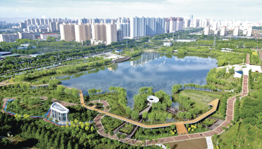 东郊湖片区俯瞰。