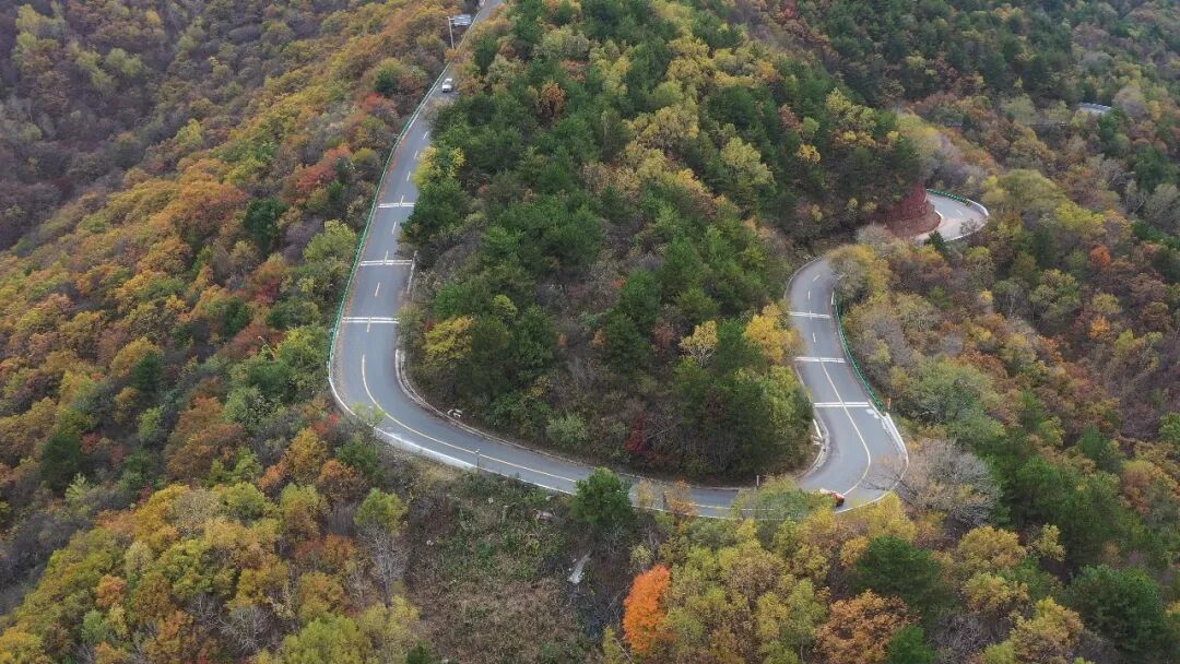 正宁公路段“秦直道四色复合型风景道与文旅融合创新项目”成功入选中国公路学会2026年度交旅融合创新案例