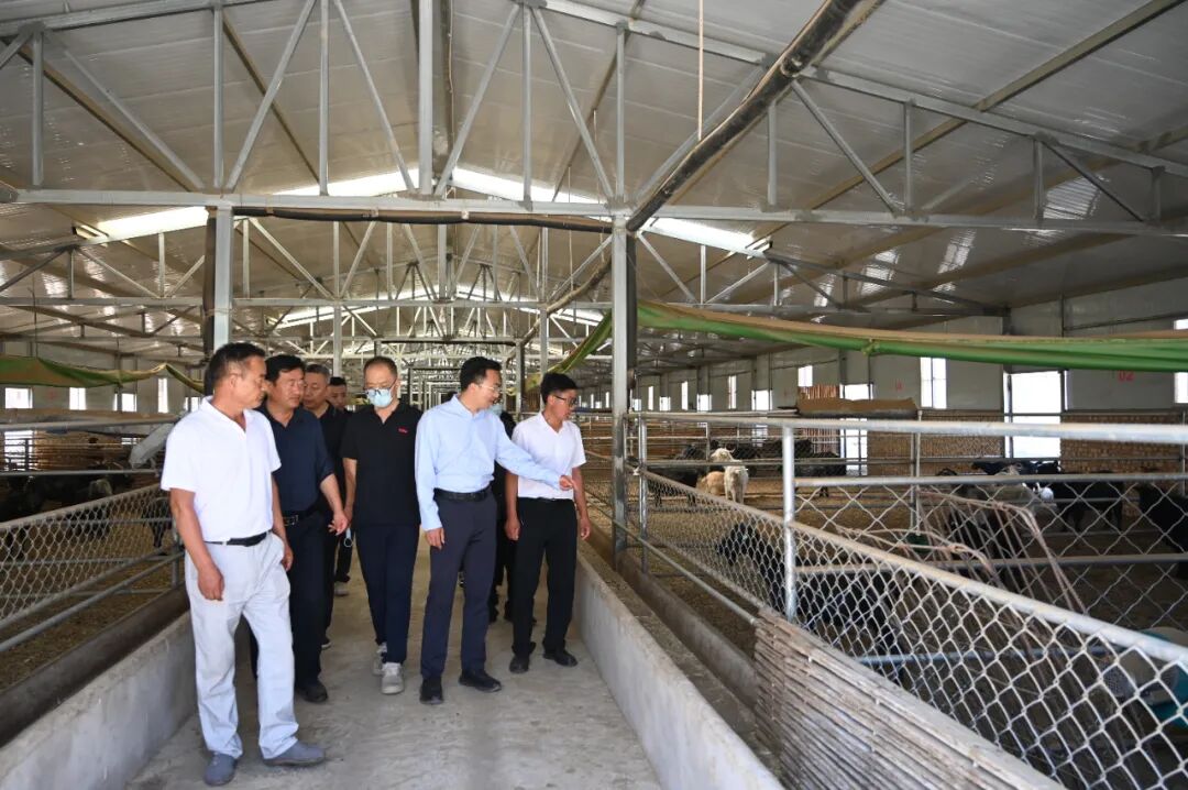 庆阳公路事业发展中心开展王庄村主题帮扶活动