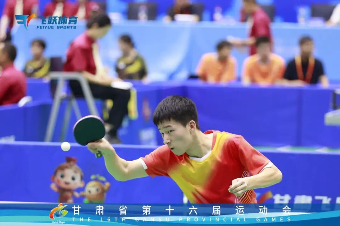 省运会庆城籍青少年斩获佳绩