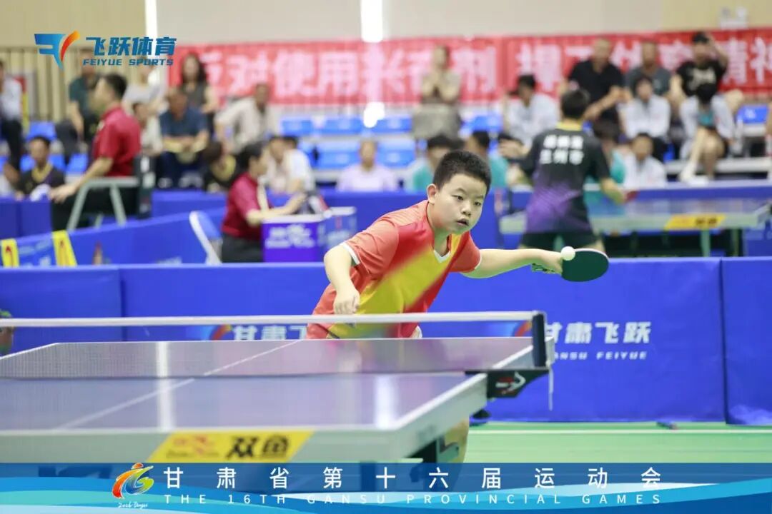 省运会庆城籍青少年斩获佳绩