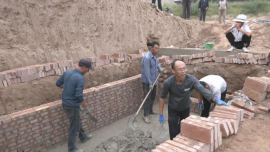合水：蔬菜产业提质增效 铺就乡村振兴致富路