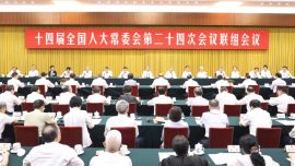 十四届全国人大常委会第二十四次会议举行联组会议