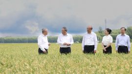 李强在黑龙江、吉林调研时强调 多措并举稳产增产 全力夺取秋粮丰收 持续提升农业综合生产能力确保粮食安全