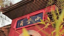 初秋已至，解锁黄土高原的陇东秋色
