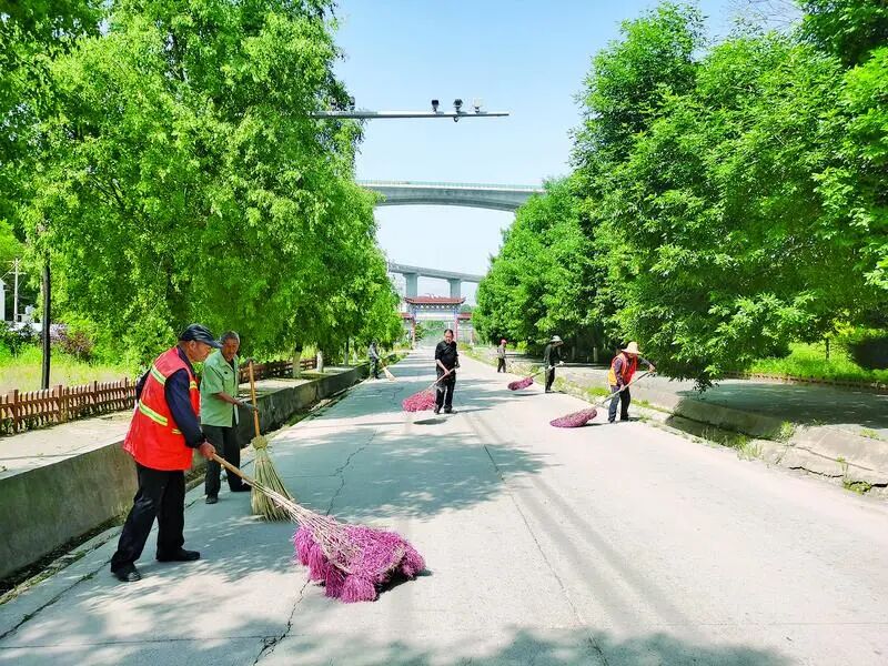 宁县新宁镇金冢村的干部群众正在清扫村庄道路。