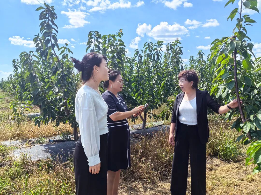 庆阳市“陇姐普法基层行”暨“巧儿”说法进家庭活动走进正宁县