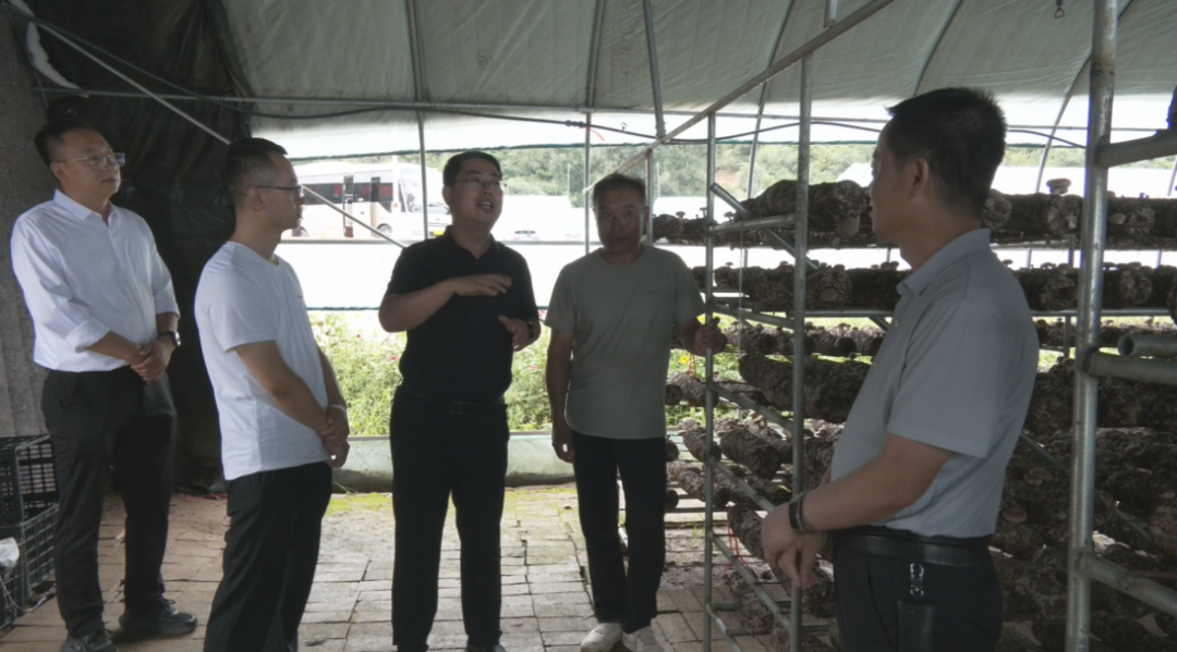合水:跨村联建聚合力 产业联动促振兴