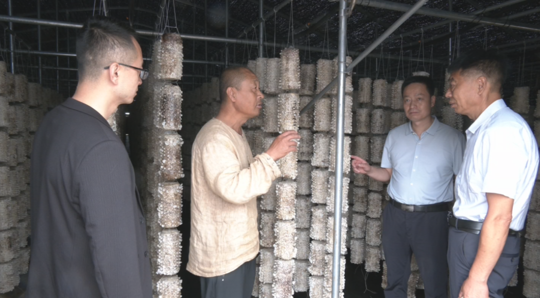 合水:跨村联建聚合力 产业联动促振兴
