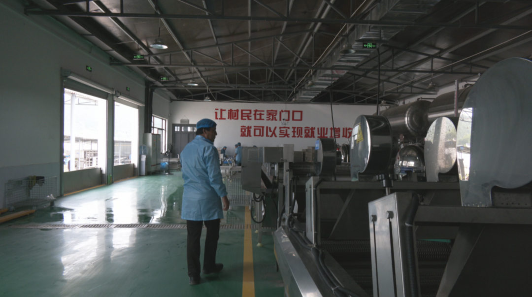 国投帮扶“造血” 合水县太白镇绘就智慧农业新画卷