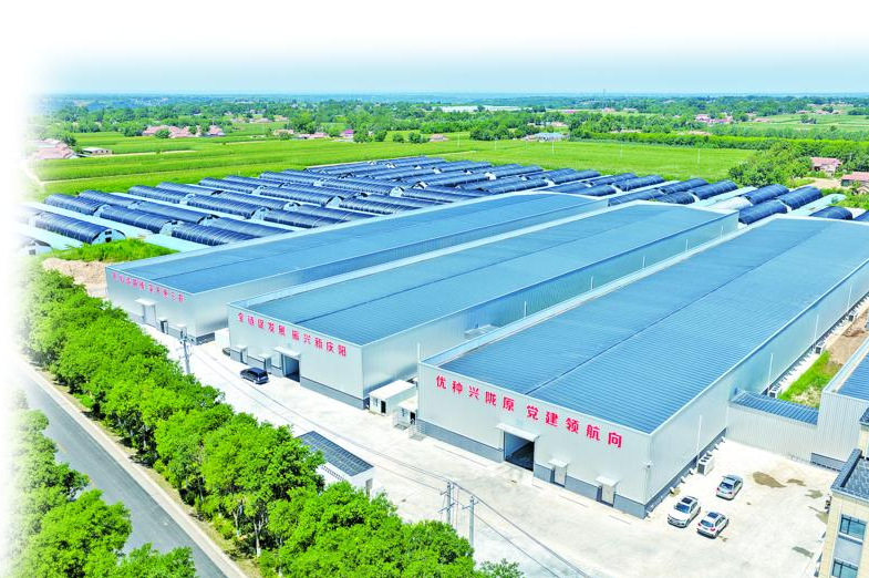 河东区援建的甘肃庆润农业科技发展有限公司食用菌生产大棚。