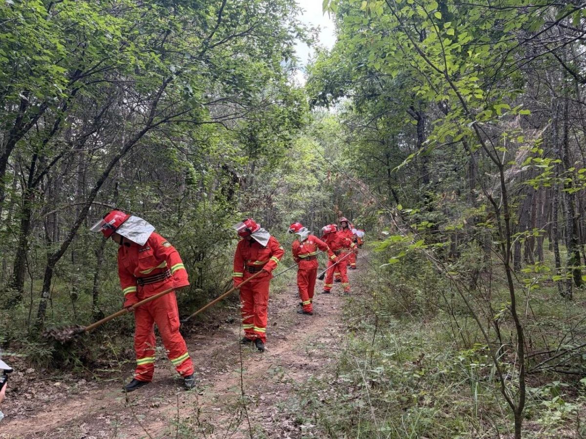 合水森林消防队员巡山