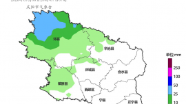庆阳今日小雨，局地有大雨