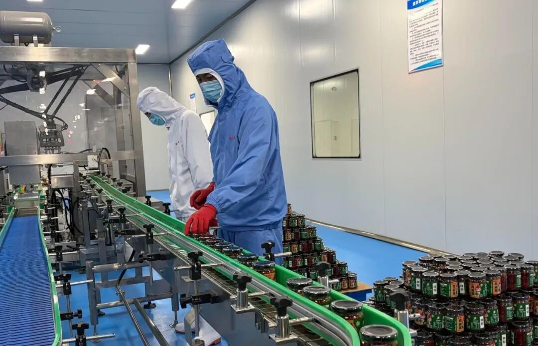镇原县以链式发展激活县域特色产业铺就群众增收路