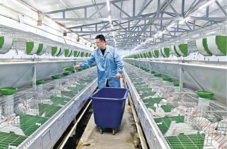 镇原县以链式发展激活县域特色产业铺就群众增收路
