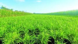 庆城：津陇携手促振兴 岐黄文脉续新章