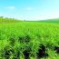 庆城：津陇携手促振兴 岐黄文脉续新章