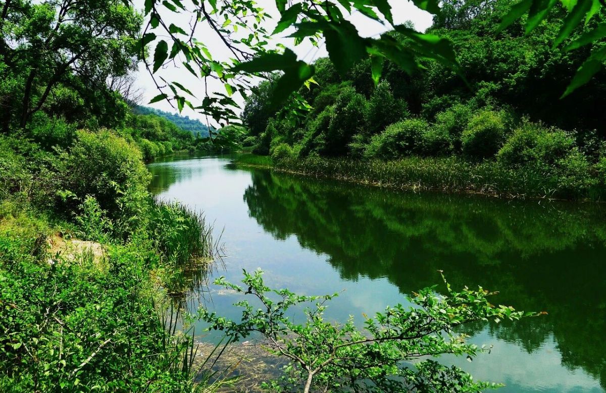 银幕映初心,盛会游华池,相约南梁红色旅游影视艺术周