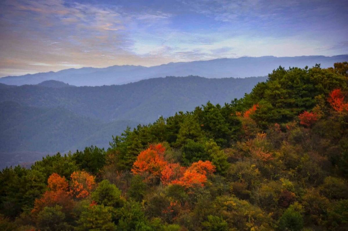 子午岭包揽了庆阳大半秋色,层林叠翠、秋染千山,氛围感拉满。