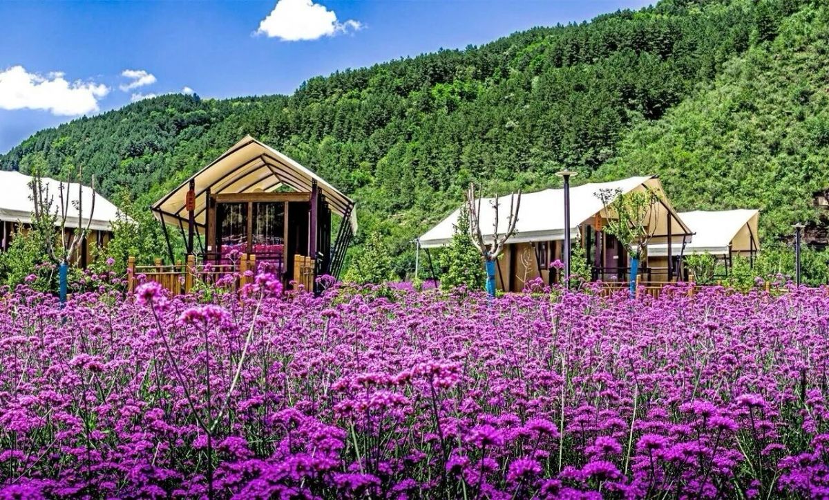 子午岭花溪谷,溪流贯穿山谷,秋日红叶铺岸,清幽静谧,适合徒步散心、吸氧放空。