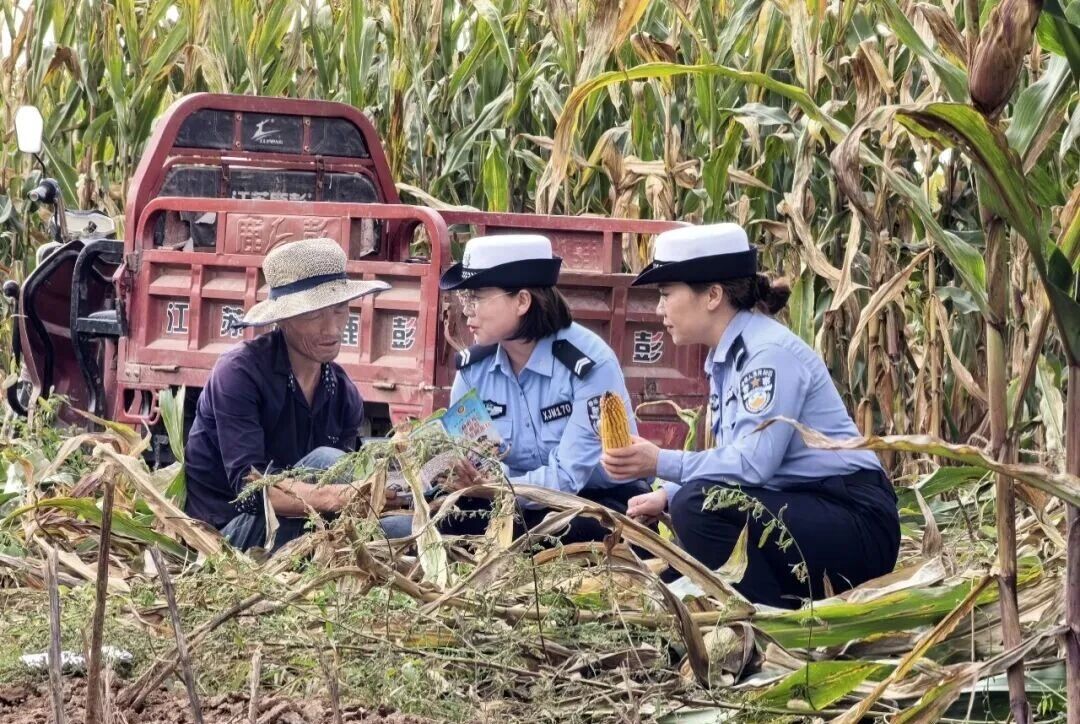 织密秋收“安全网”,护航乡间“丰收路”