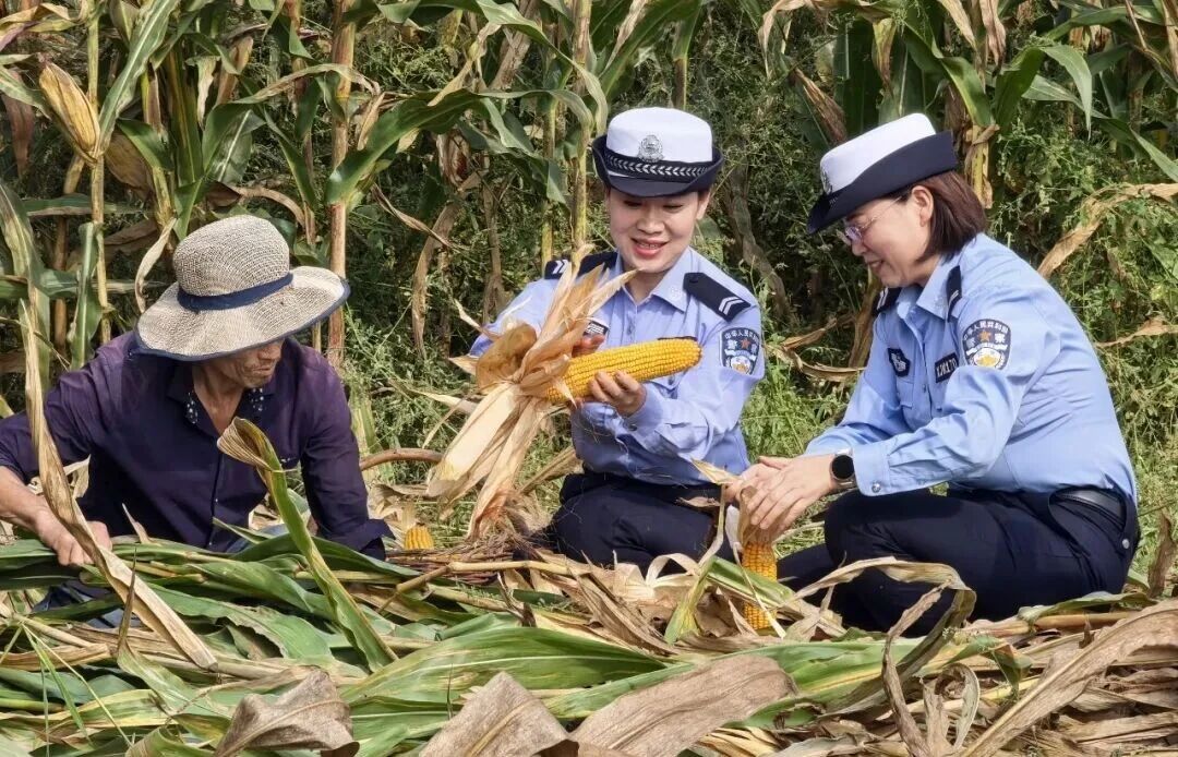 织密秋收“安全网”,护航乡间“丰收路”