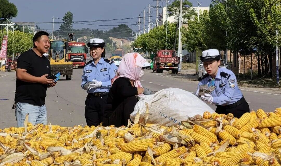 织密秋收“安全网”,护航乡间“丰收路”