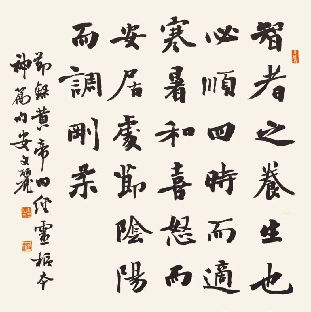 安文丽