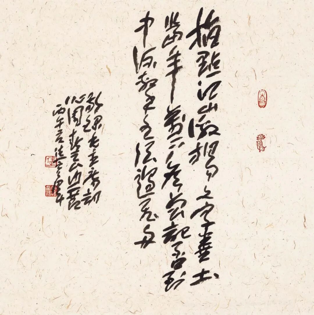 焦宏泽
