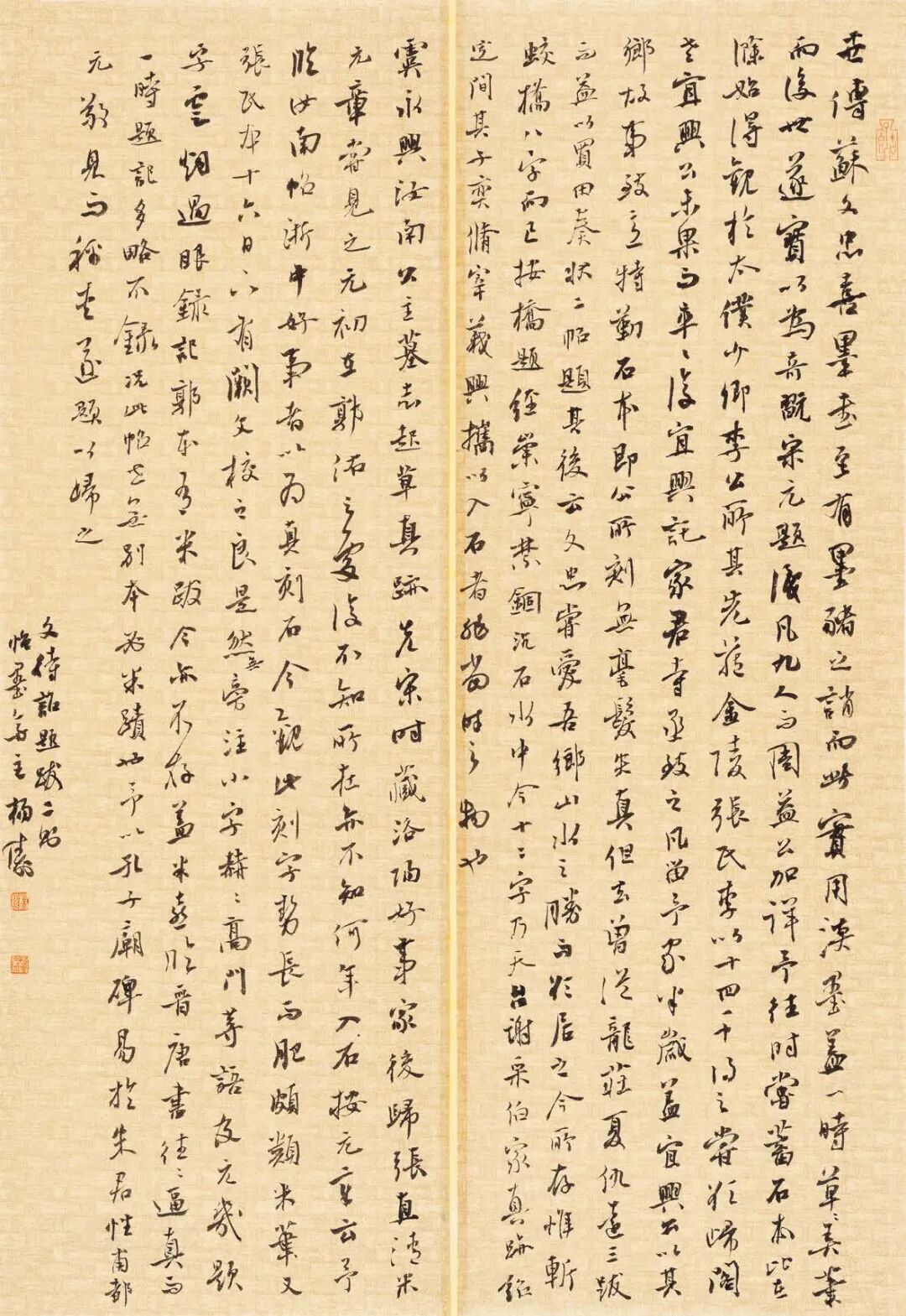 杨 涛