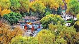 厚植底色靓金城 ——兰州纵深推进绿美城市建设综述
