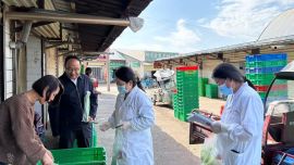 庆阳市食检中心扎实开展食品安全快检进市场活动