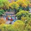 厚植底色靓金城 ——兰州纵深推进绿美城市建设综述