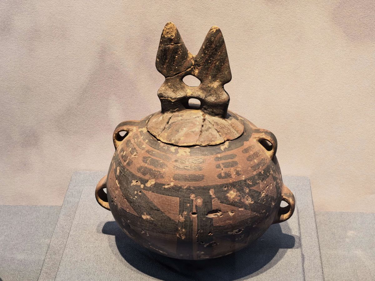 玉门火烧沟遗址文物展在镇原开展