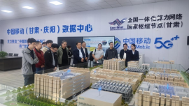 民进中央来庆开展“数据中心集群建设、算力产业布局及‘东数西算’工程实施”调研